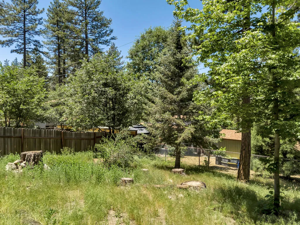 53560 Country Club Drive, Idyllwild, California 92549 home-pic-60